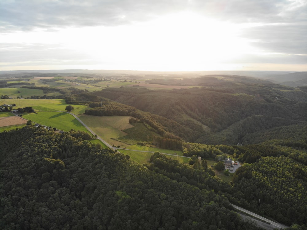 árboles verdes en un campo de hierba verde bajo el cielo blanco durante el día