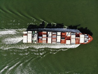 white and red houses on green water