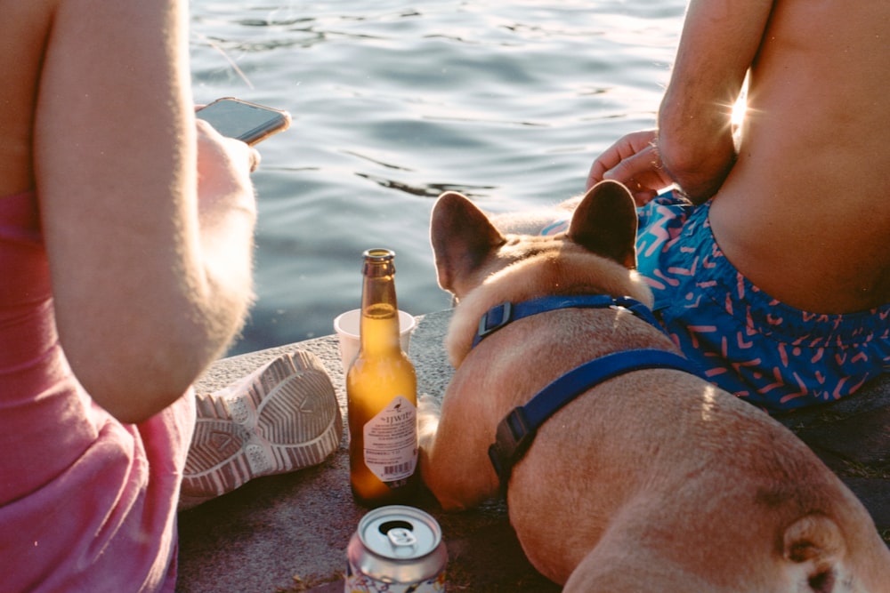 person holding beer bottle near body of water during daytime