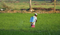 man in white t-shirt and blue denim shorts with blue backpack walking on green grass