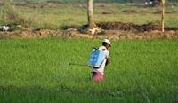 Farmer with sprayer
