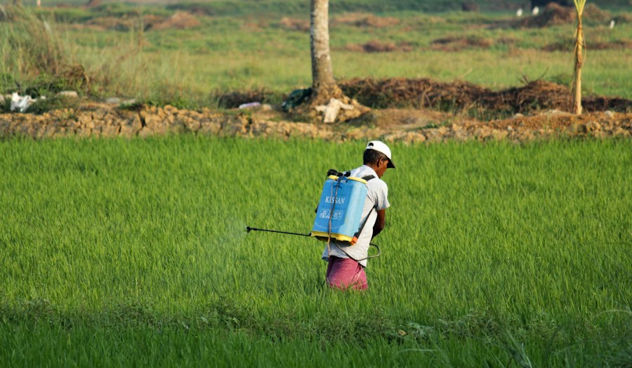 Farmer in the field