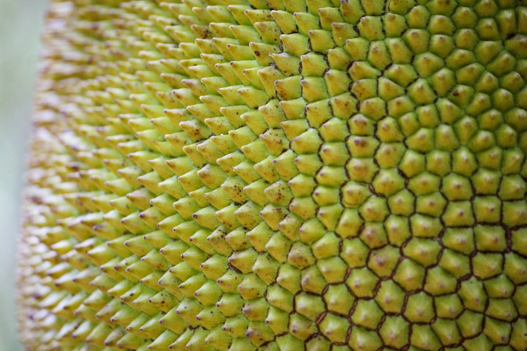 a close up view of the center of a sunflower