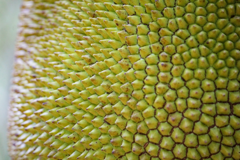 a close up view of the center of a sunflower