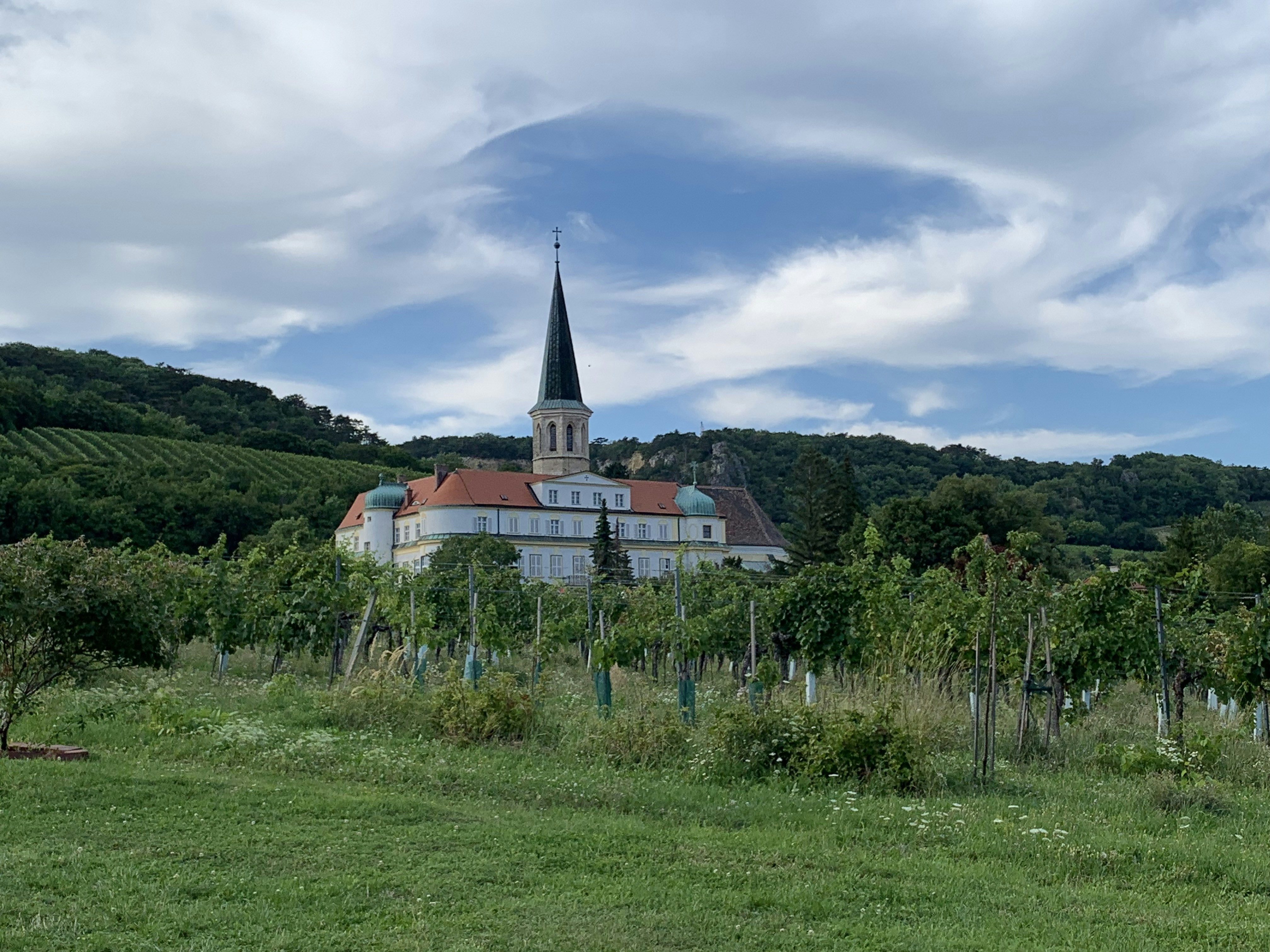 Herbert Ritsch (@chestnuttree) | Komunitas Foto Unsplash