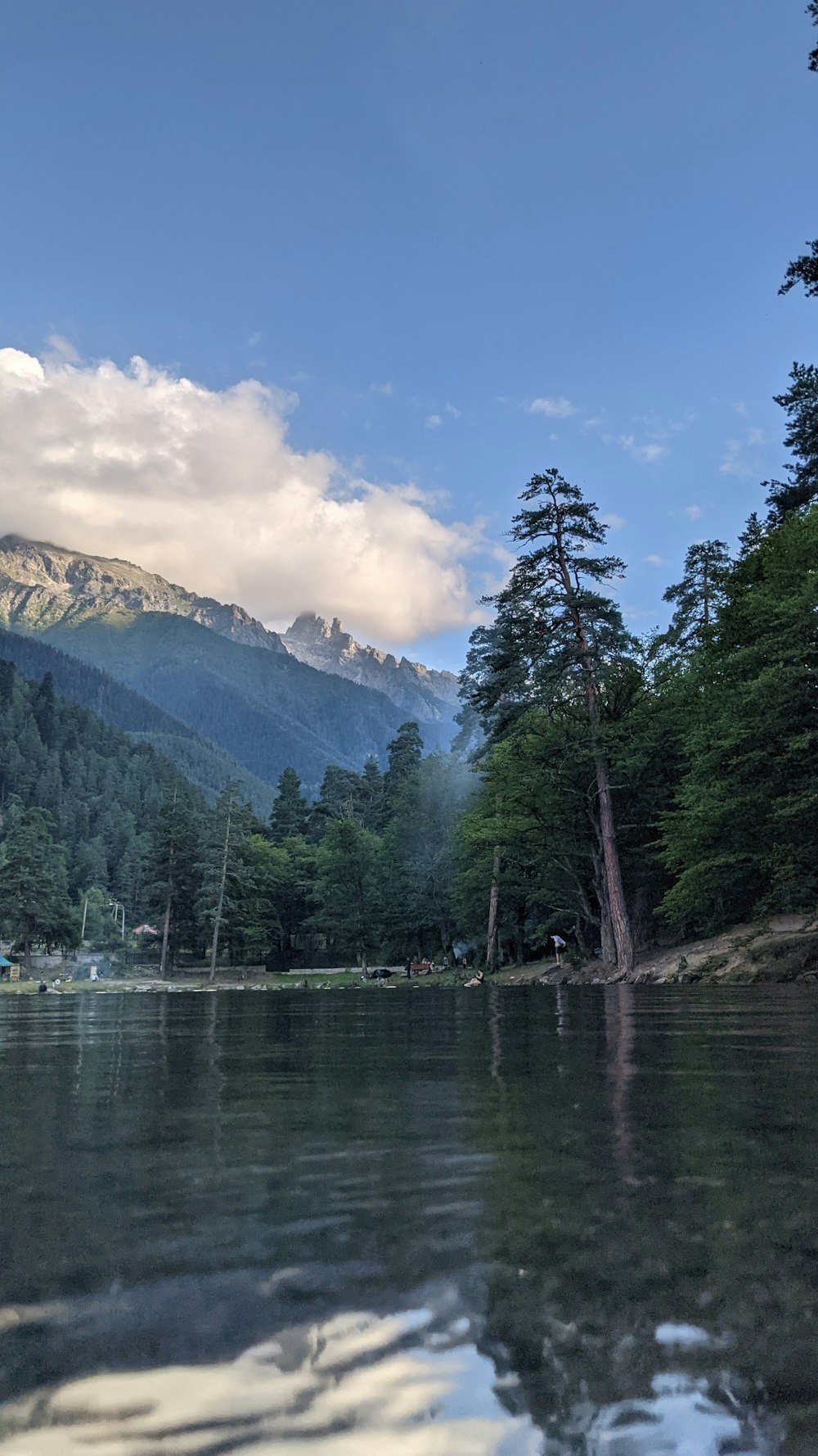 green trees near lake and mountain under blue sky during daytime