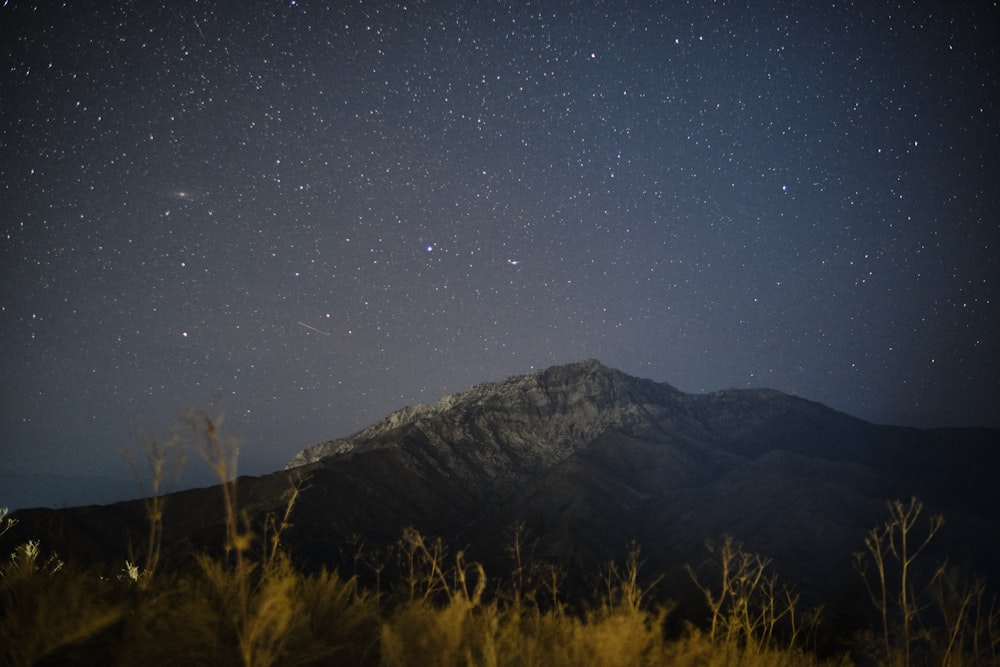 green grass field near mountain under starry night