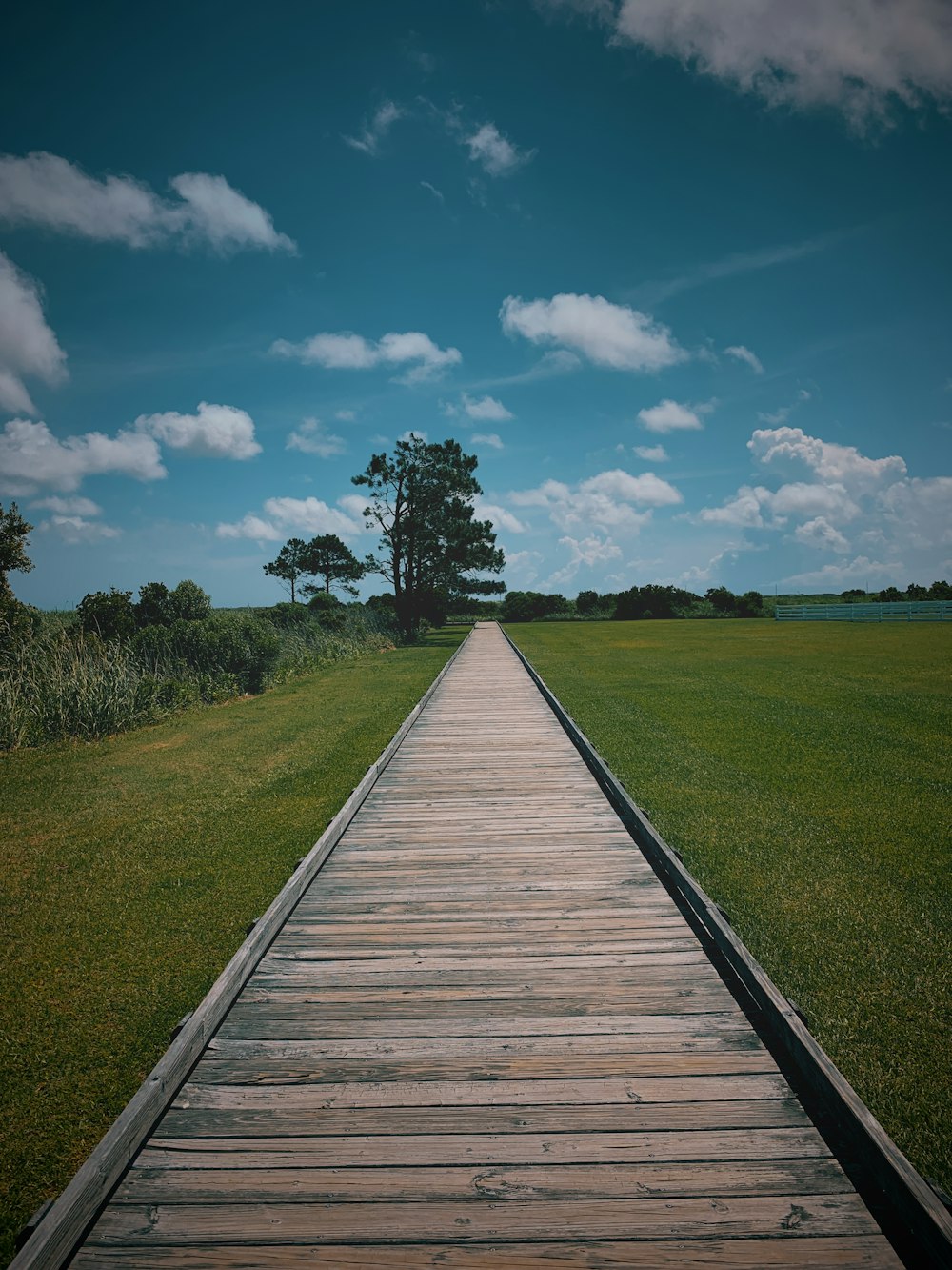 昼間の青と白の曇り空の下、緑の芝生の間にある茶色の木製の小道