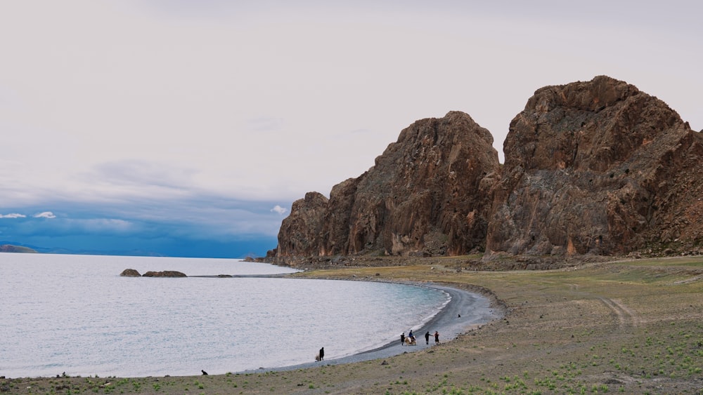 낮에 갈색 암석 근처의 해변 해안을 걷는 사람들