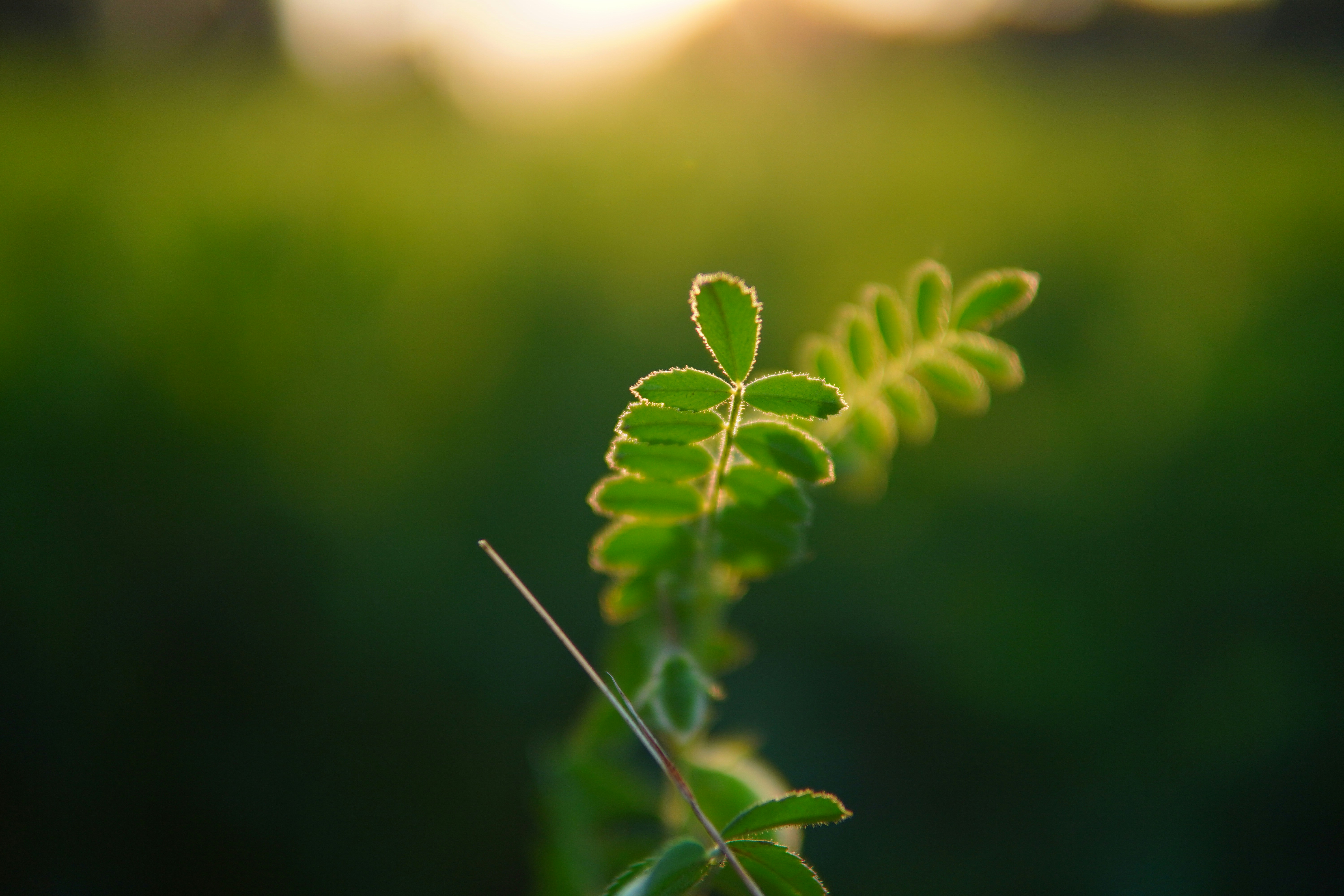 Photo by mr_karangia