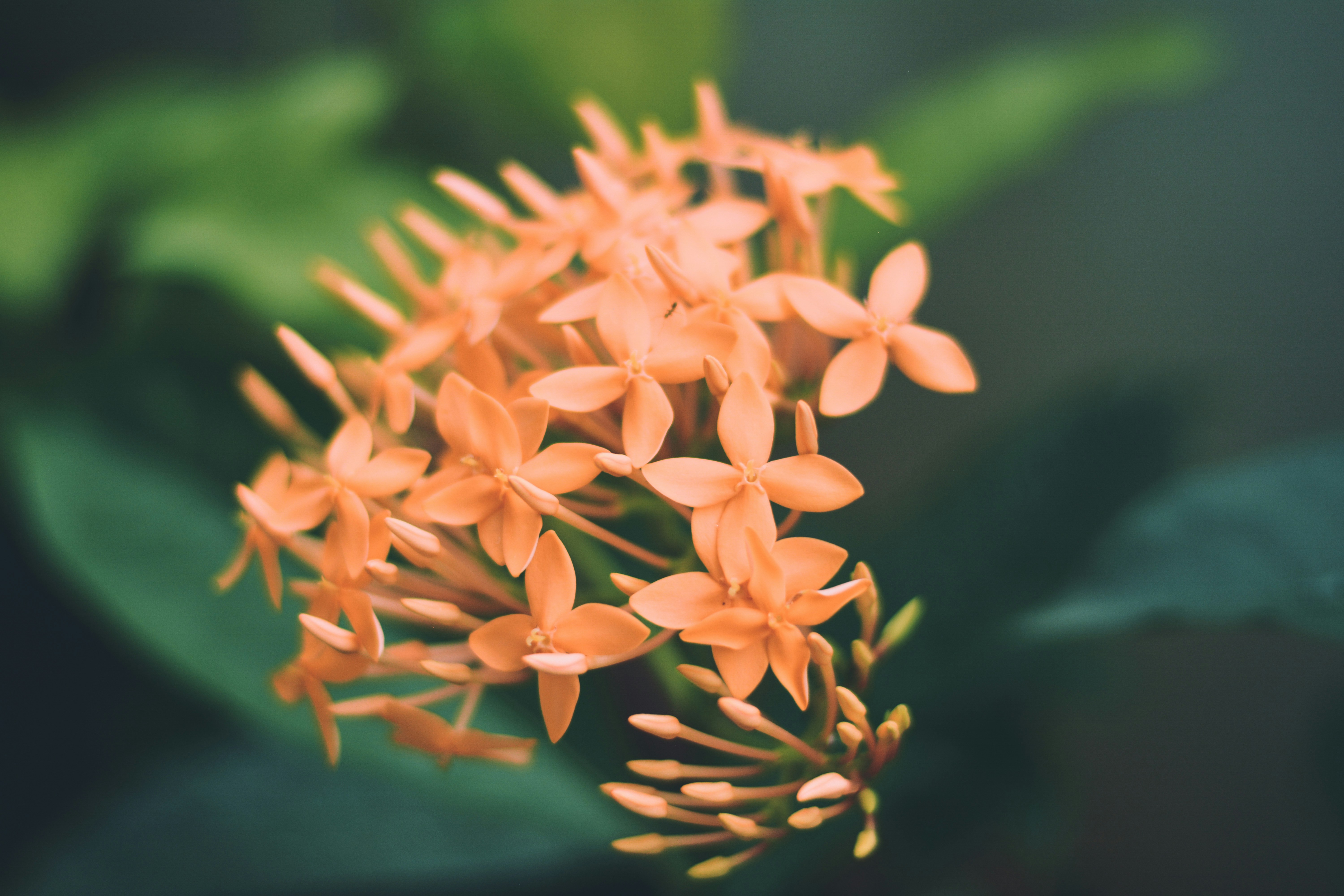 Photo by sanjanshetty