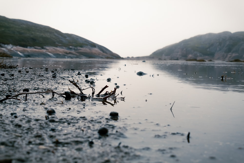 body of water near mountain during daytime