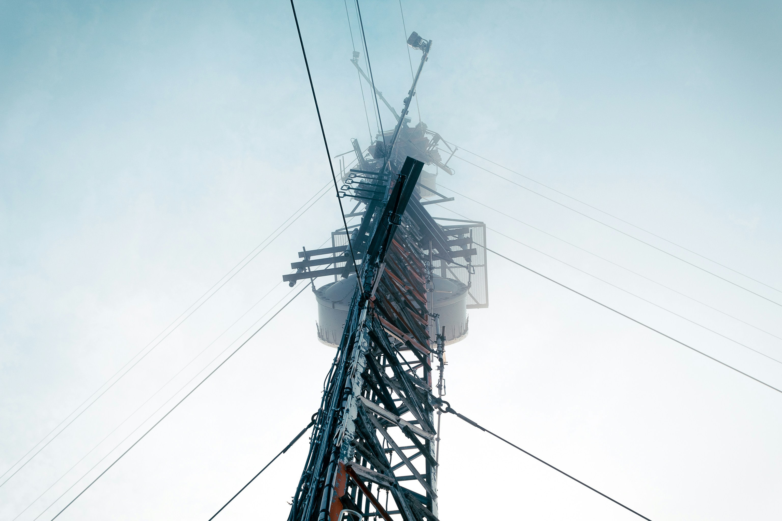 Photo by californialouise