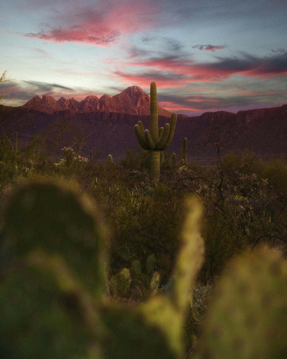 green grass field near mountain during sunset