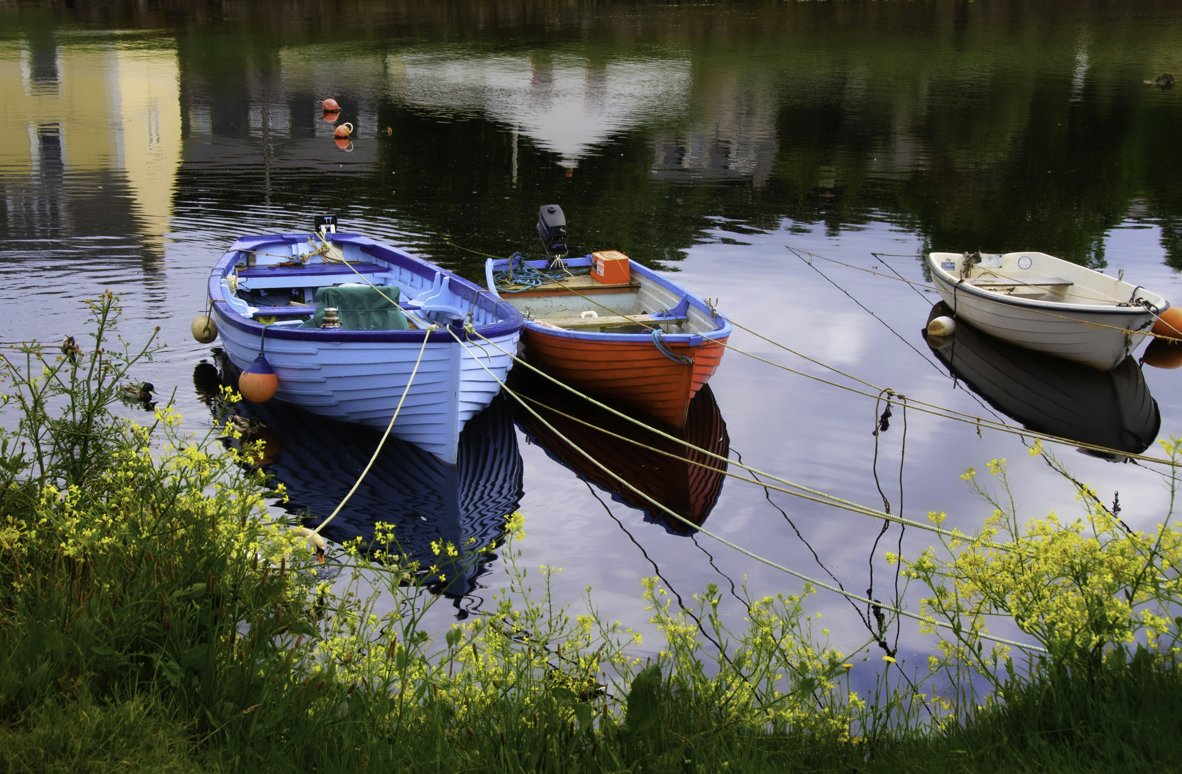 Photo by cathkerr