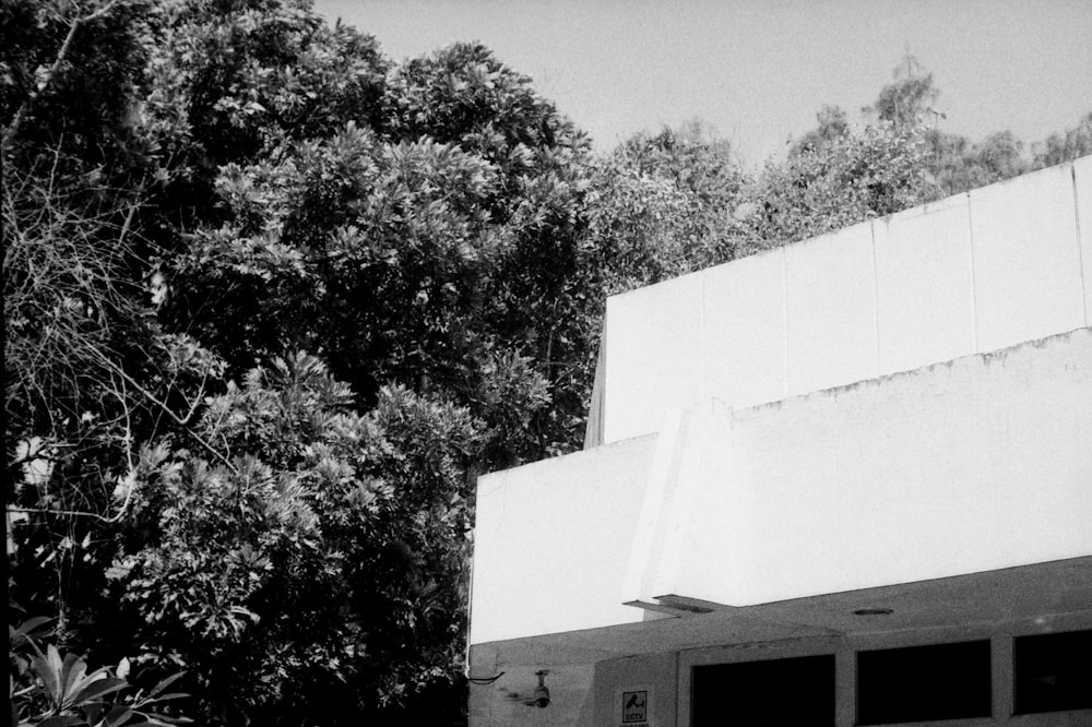 white concrete building near green trees during daytime