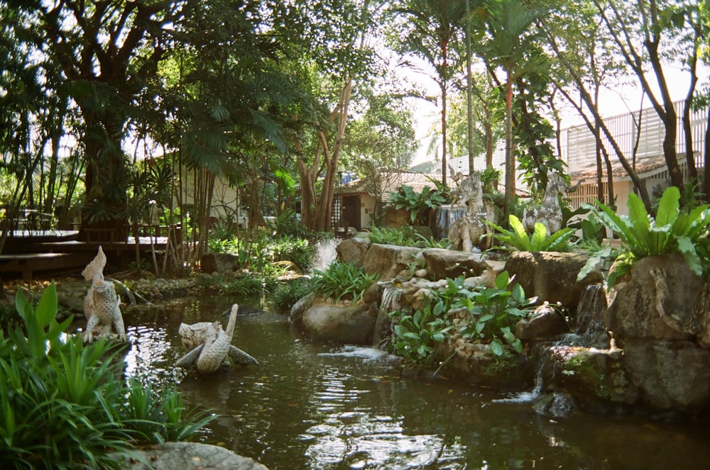 green trees on river bank during daytime