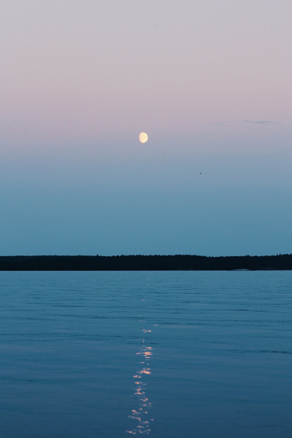 body of water during sunset