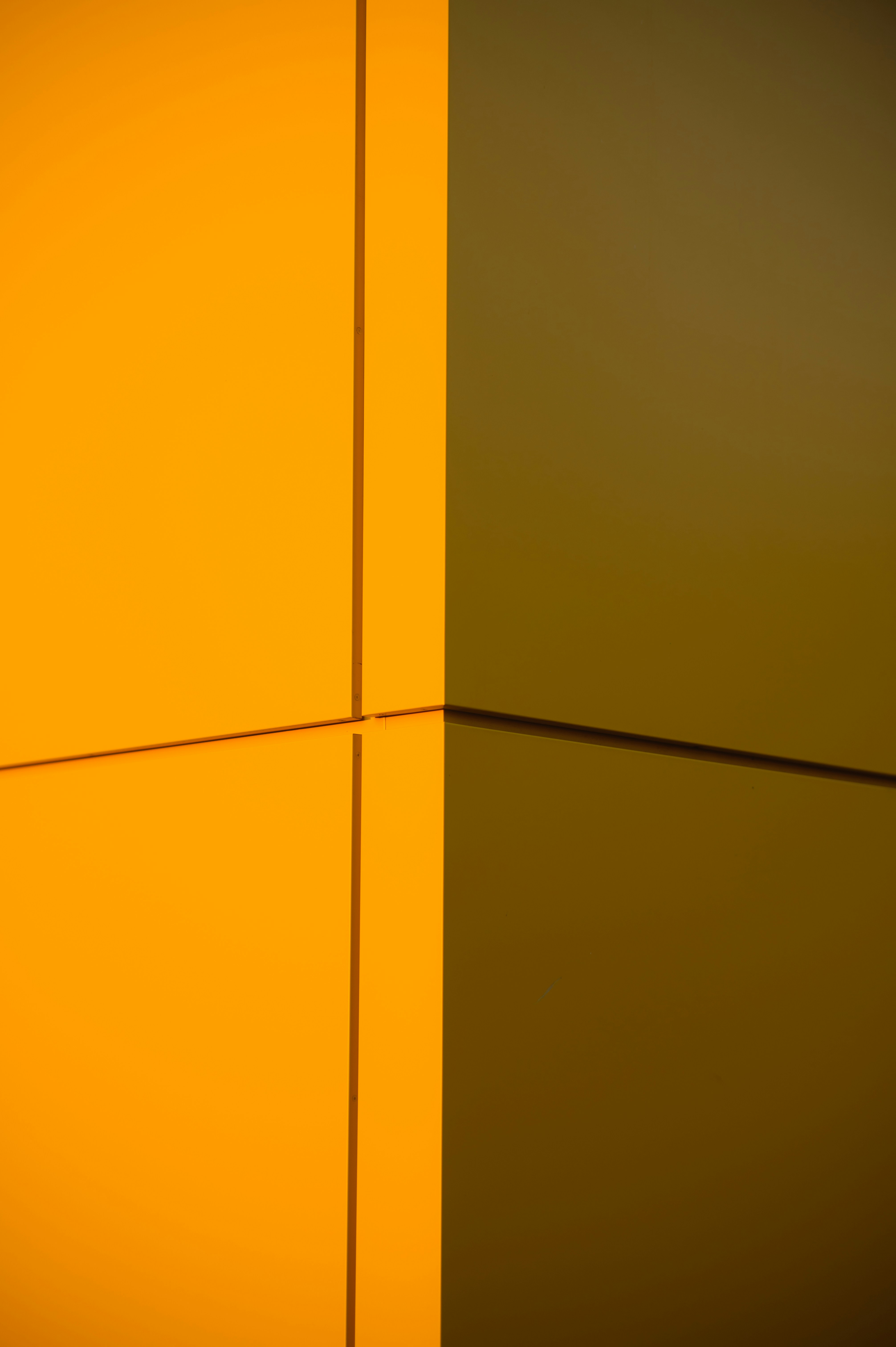 Photo by ryunosuke_kikuno