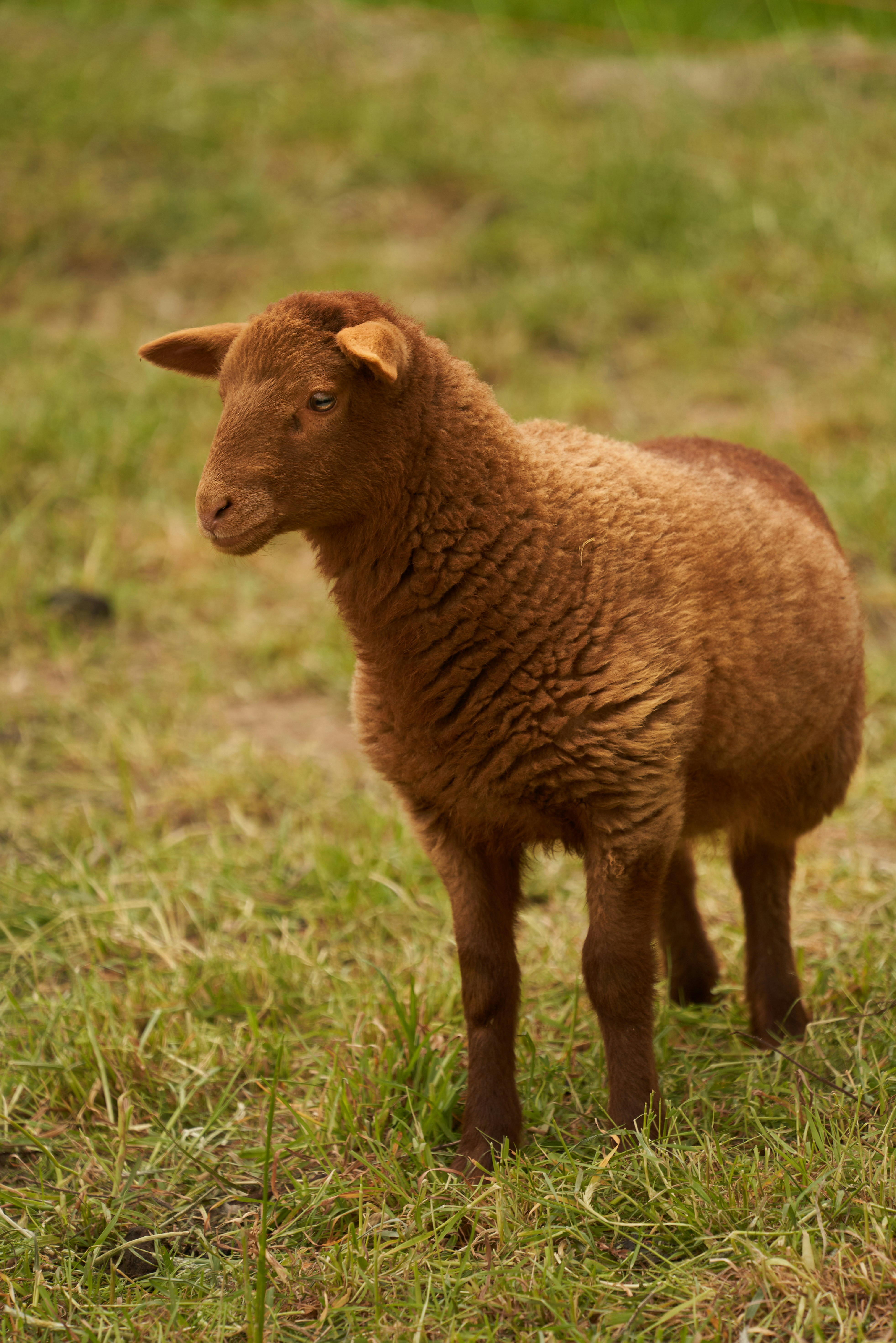 Photo by wolfgang_hasselmann