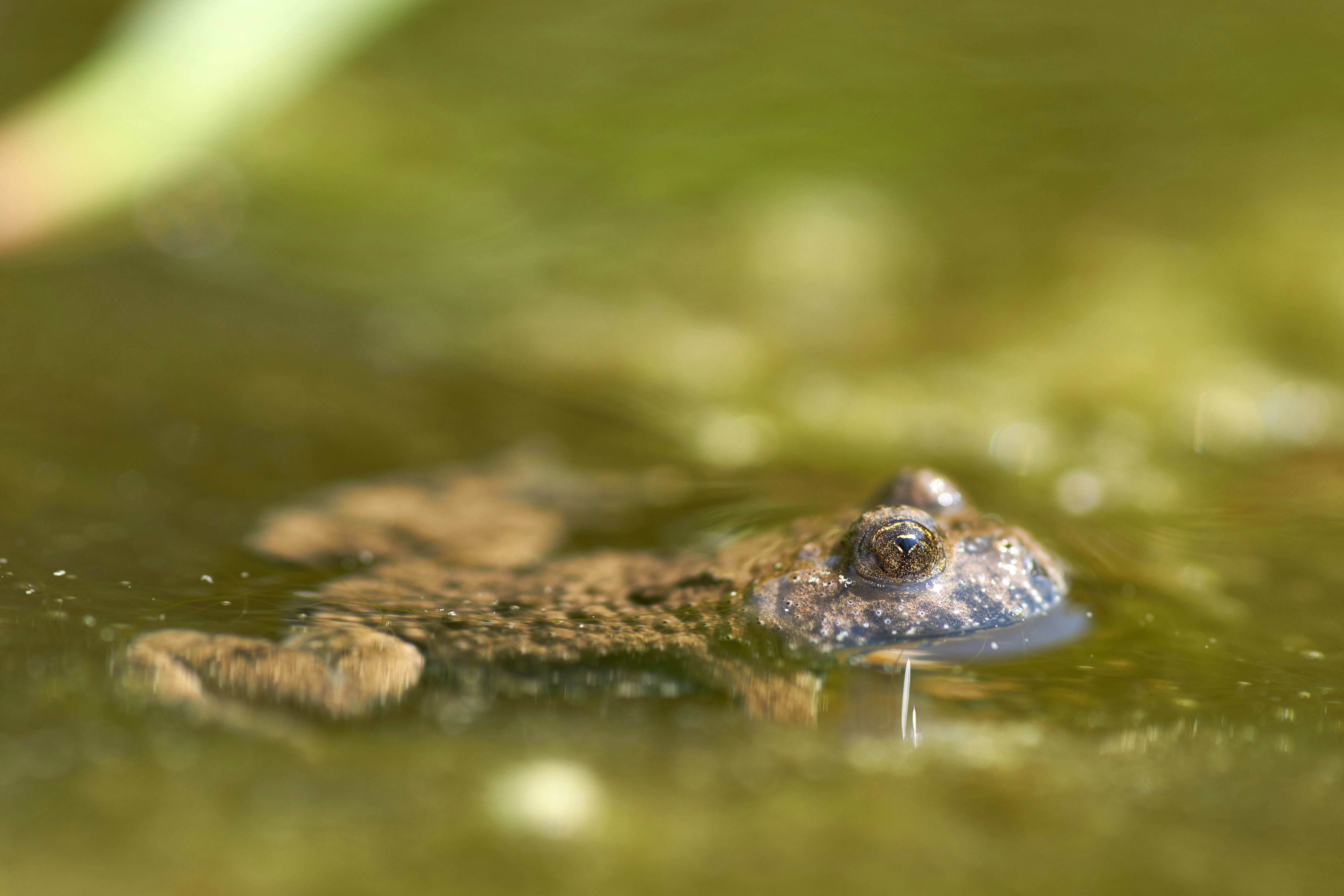 Photo by wolfgang_hasselmann