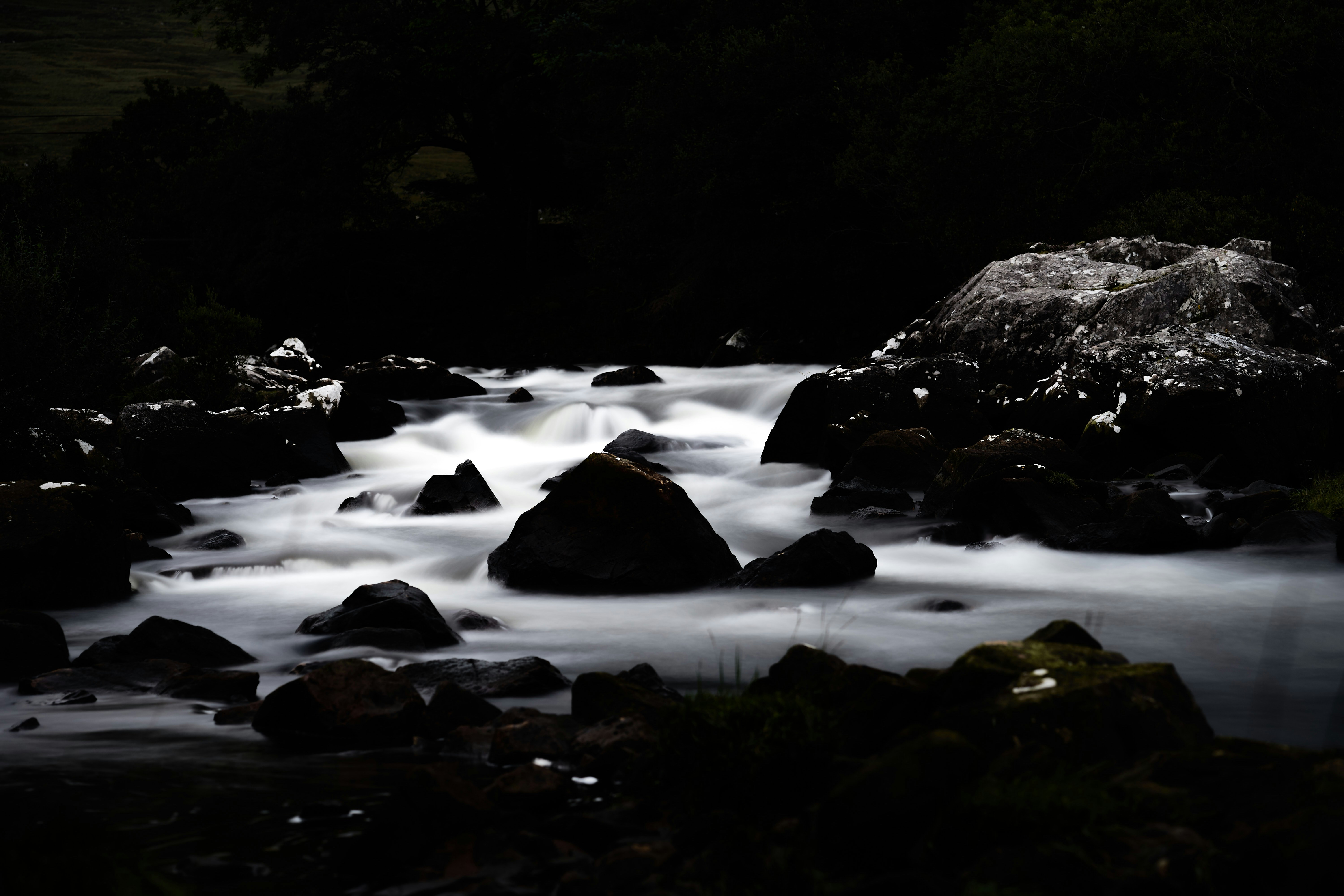 Photo by wolfgang_hasselmann