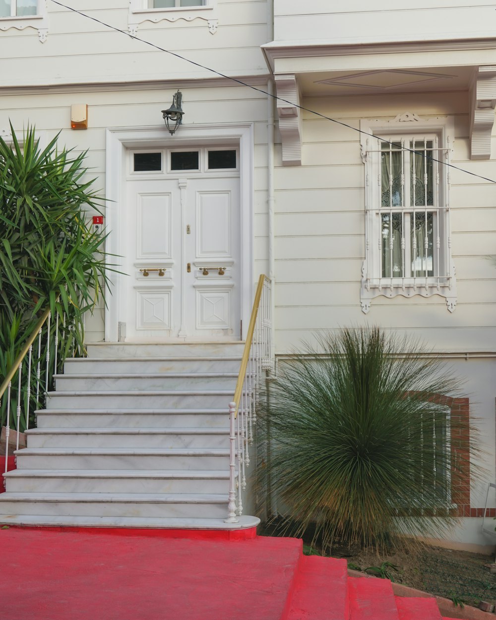 white wooden door beside green palm tree