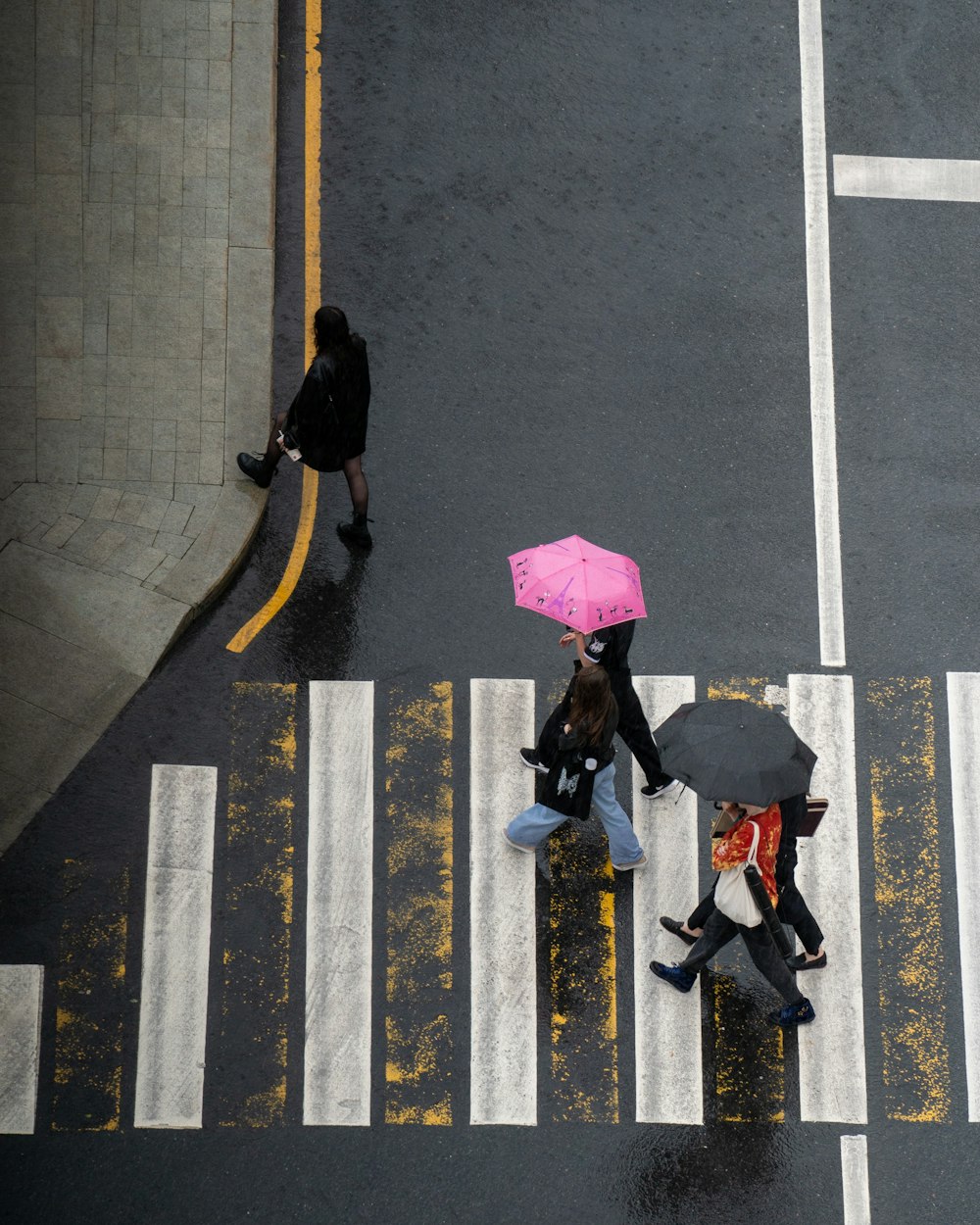 people walking on pedestrian lane during daytime