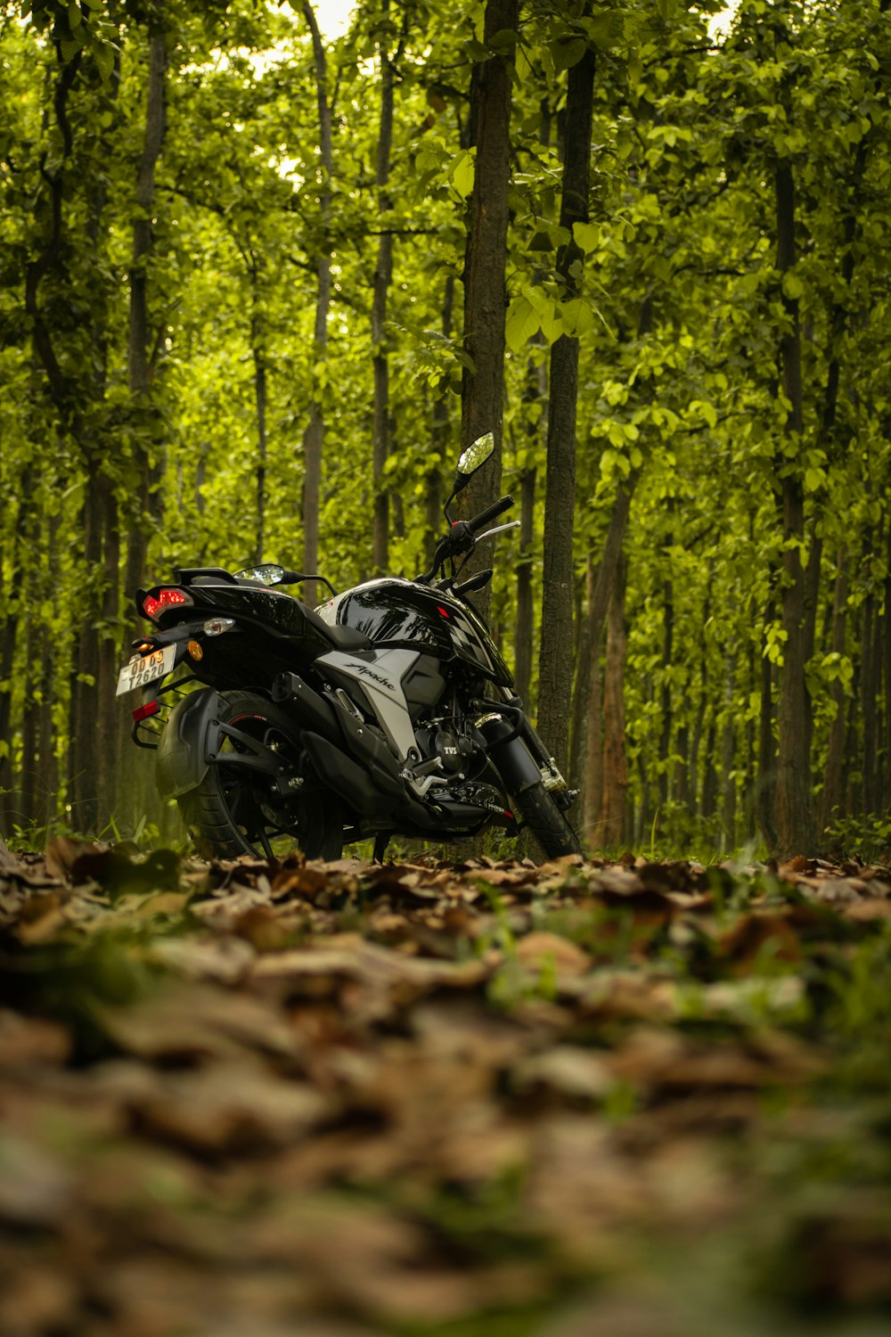 Motocicletta nera parcheggiata sulla foresta durante il giorno