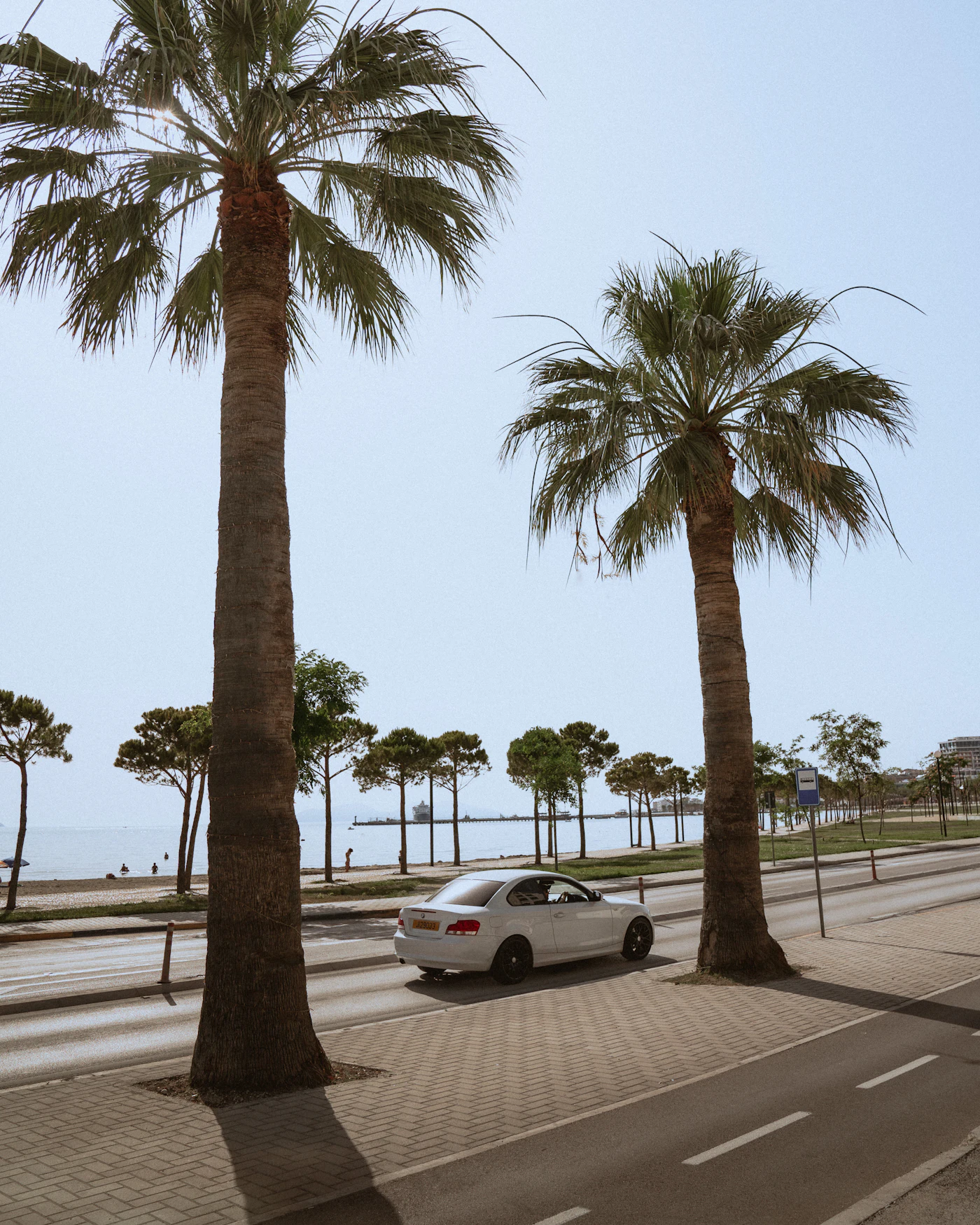 A white sedan on a sunny road lined with palm trees