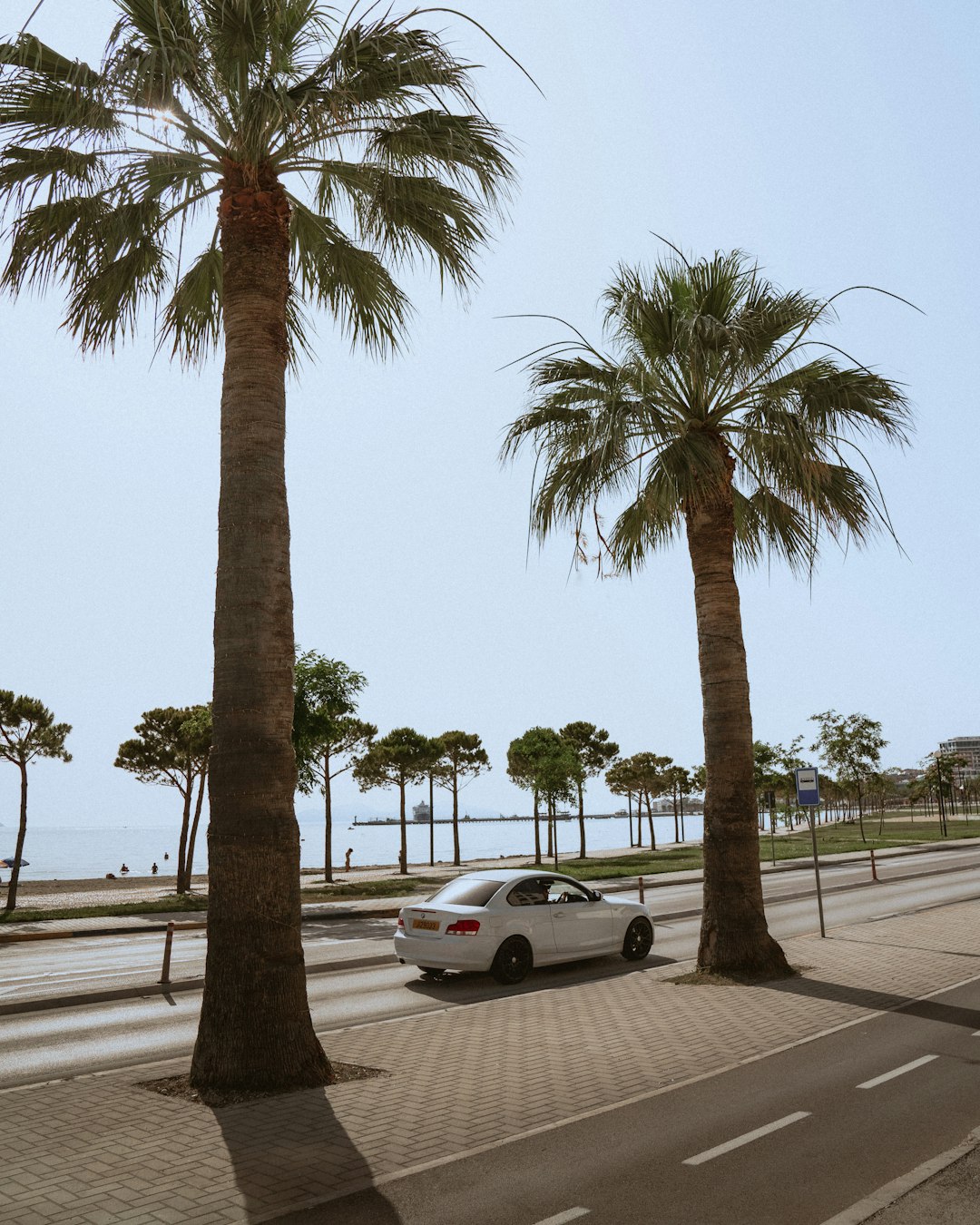 white sedan on road near palm trees during daytime