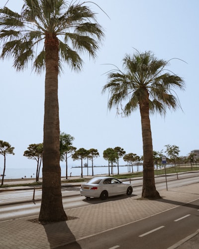 Pare-soleil installé sur le pare-brise d'une voiture garée au soleil en été