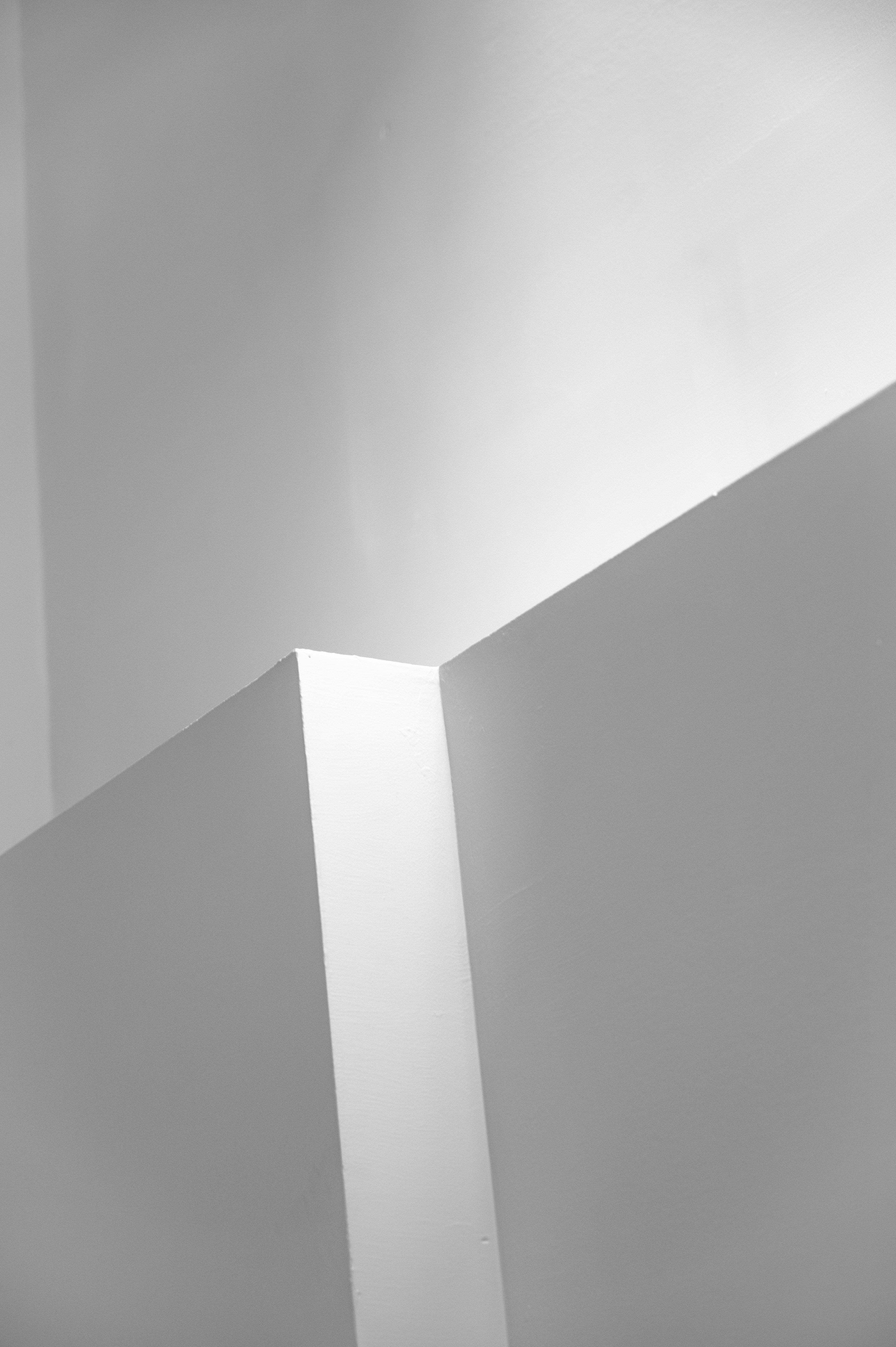 Photo by ryunosuke_kikuno