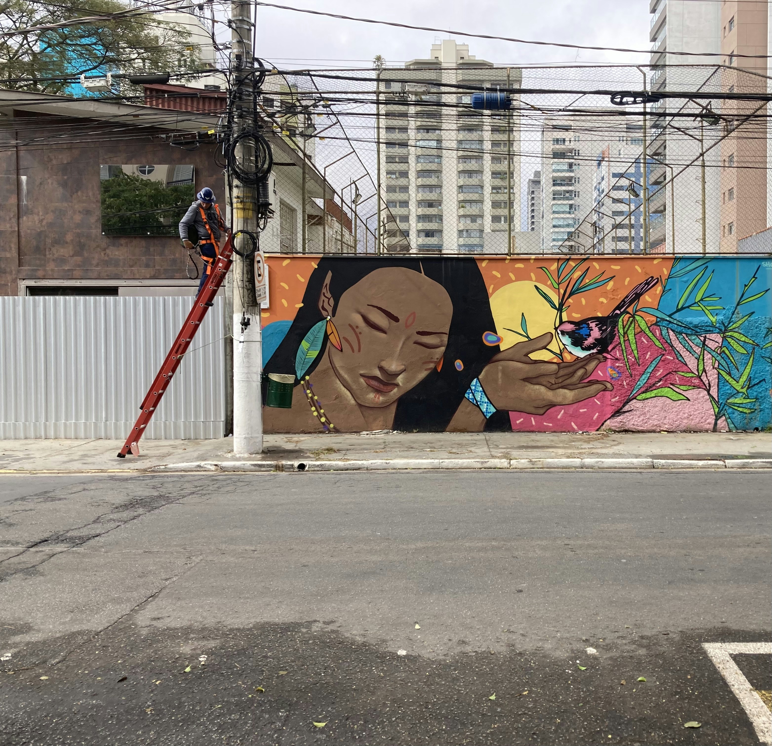 A street scene featuring a mural on a wall that depicts a large portrait of a woman with closed eyes and a bird resting on her hand. The background of the mural includes vibrant colors and abstract patterns. In the foreground, a person wearing a helmet is working on electrical cables attached to a utility pole while standing on a ladder.