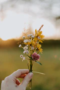 yellow and purple flower in persons hand