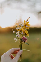 yellow and purple flower in persons hand