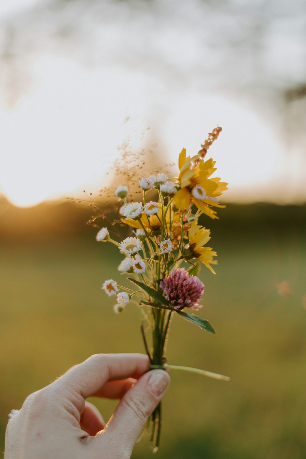 yellow and purple flower in persons hand