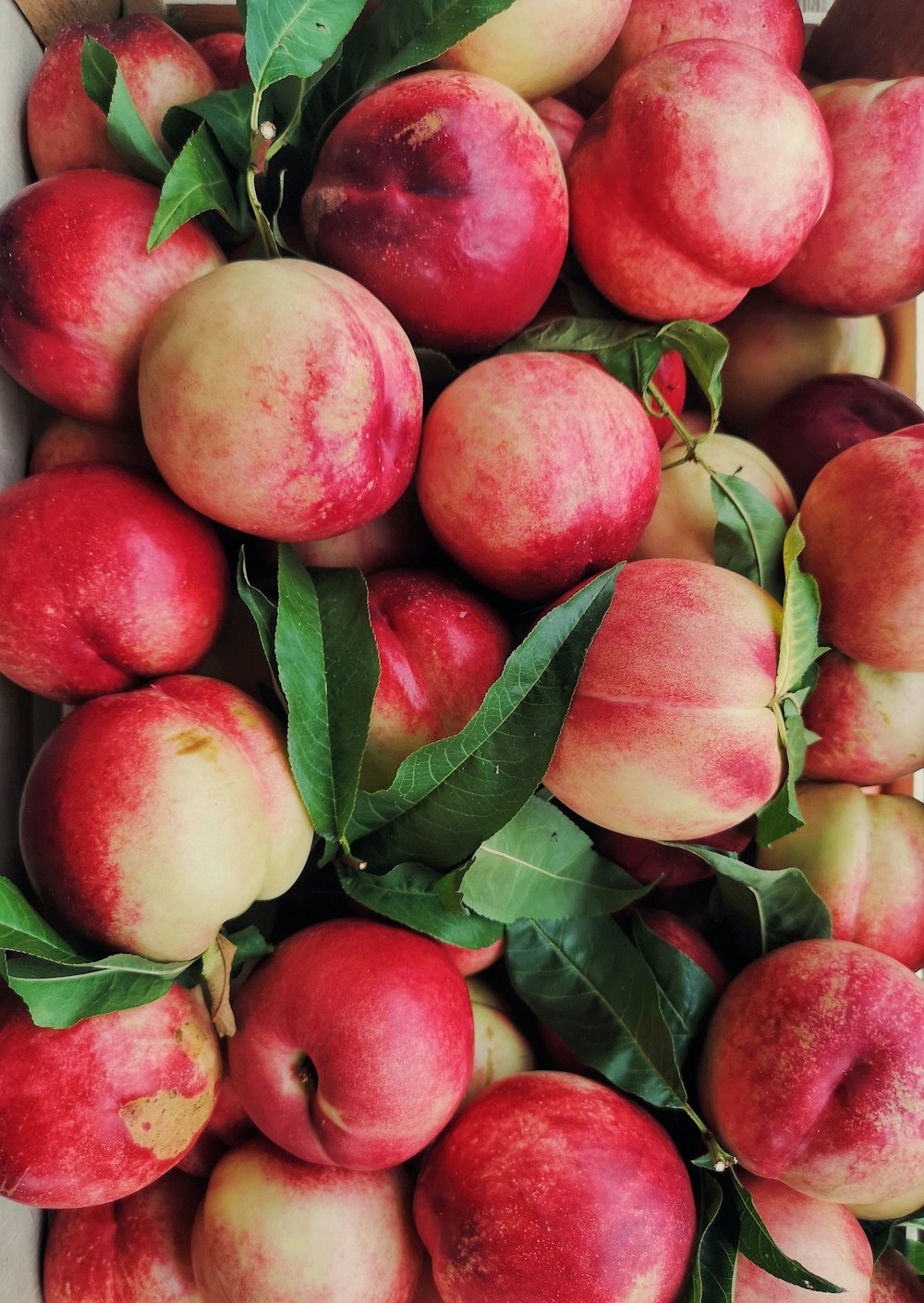 a box filled with lots of red and yellow apples