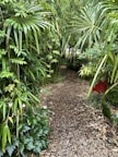 Pathway leading to the bungalows surrounded by native plants and flowers.