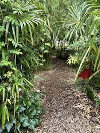 Pathway leading to the bungalows surrounded by native plants and flowers.