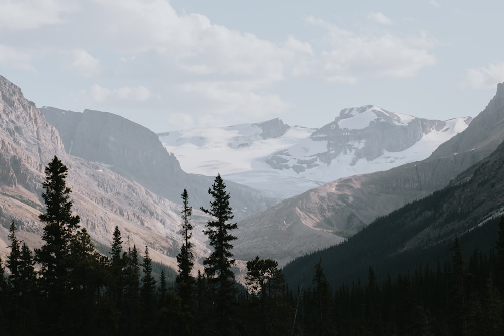 green trees near mountain under white clouds during daytime