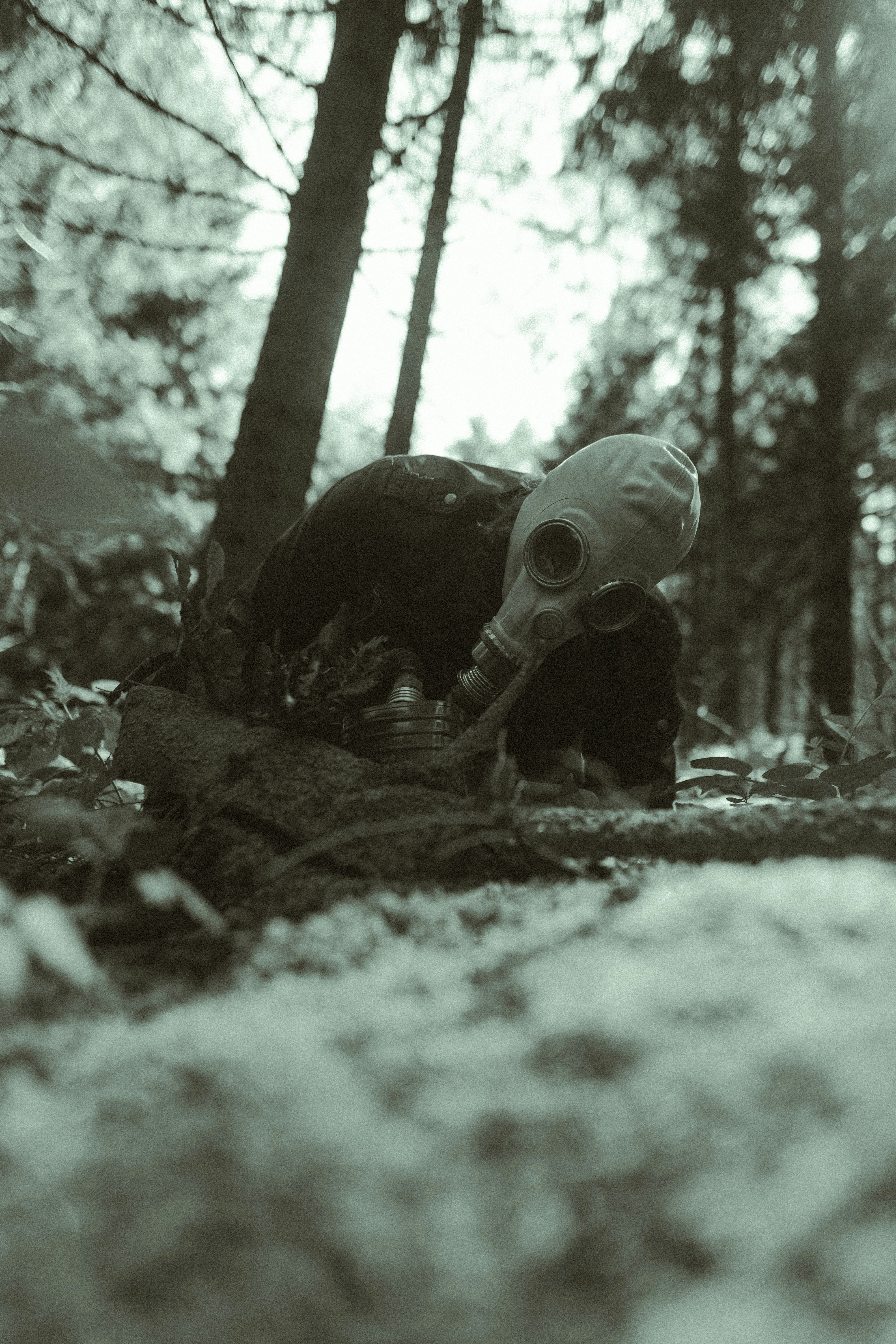 Photo by leoniezettl