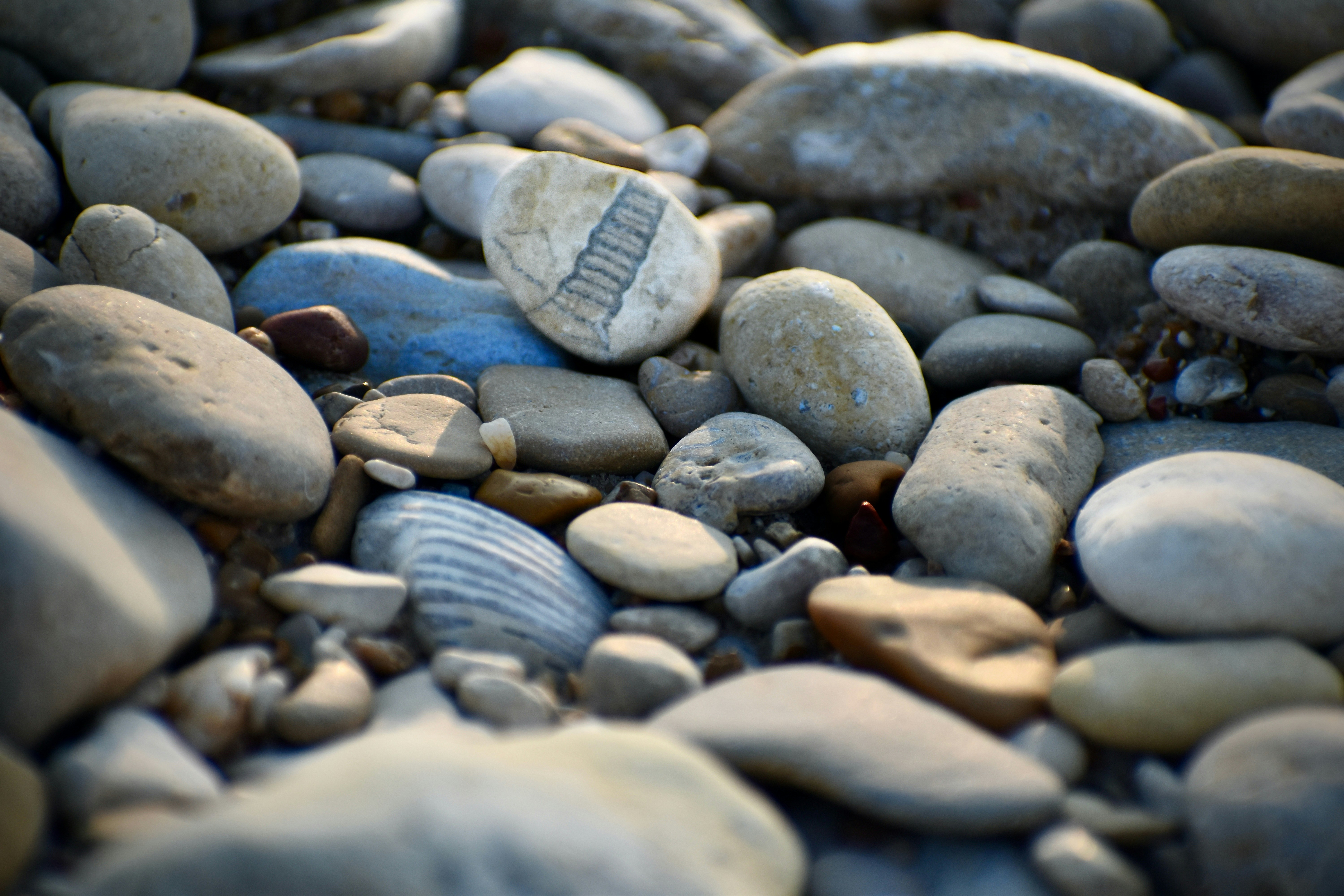 Photo by luketittley