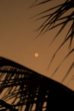 A softly lit collage artwork blending celestial moons and vintage textures in muted pastel tones.