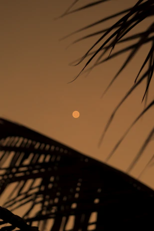 A softly lit collage artwork blending celestial moons and vintage textures in muted pastel tones.