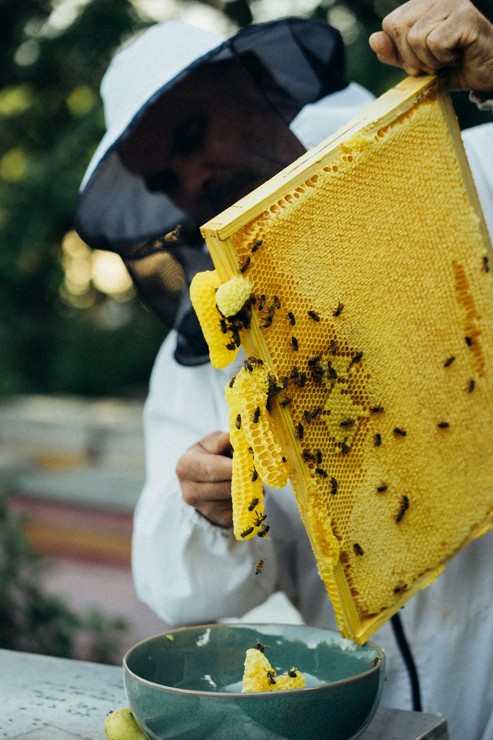 person holding yellow and black textile