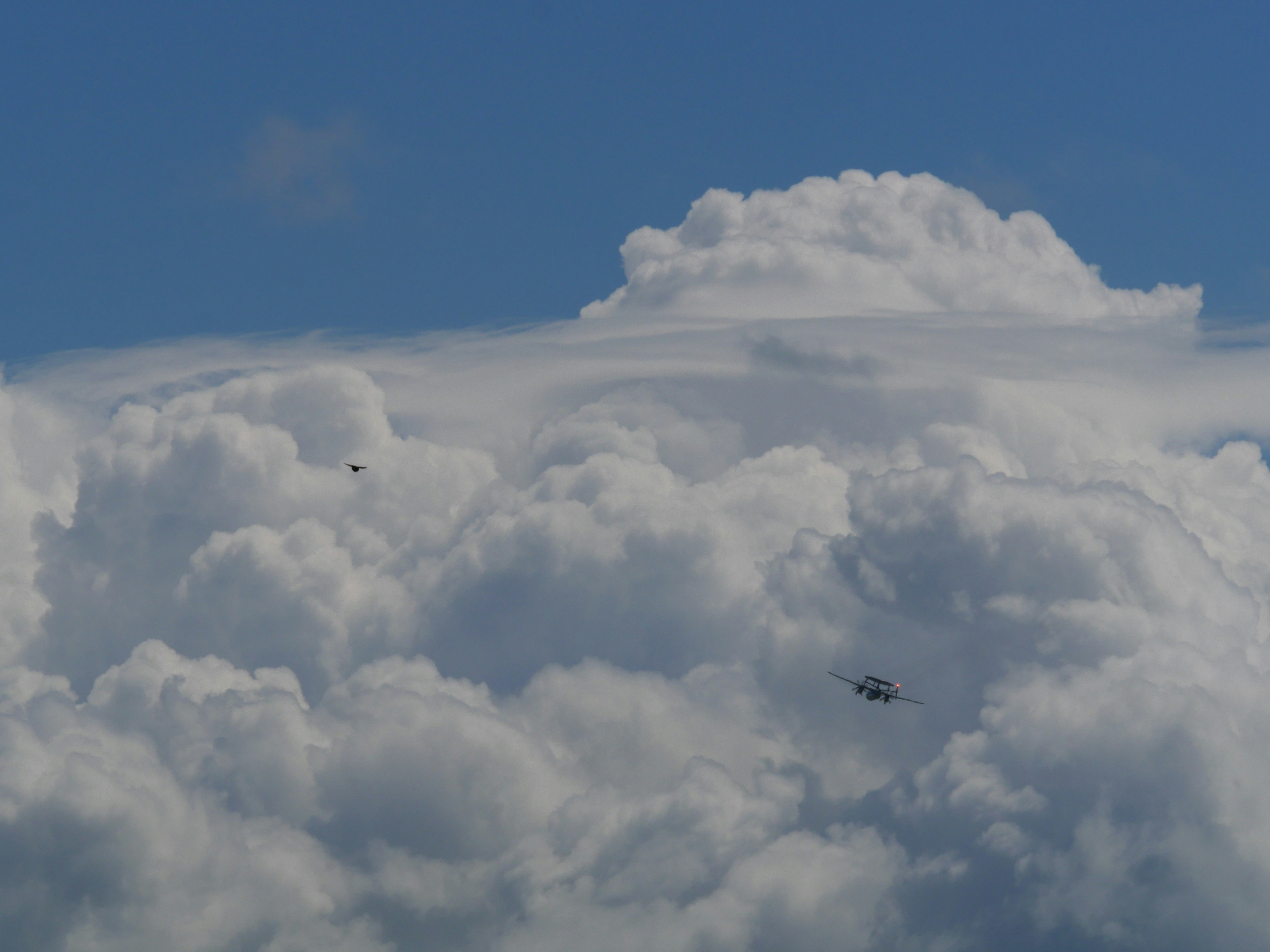 Photo by nimbus_vulpis