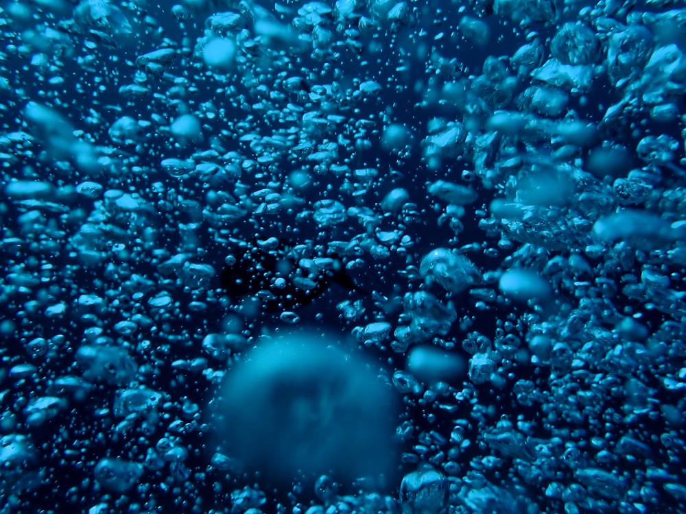 blue and white bubbles in water