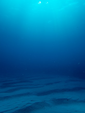 Photo 1628371205539 59ac687428b1?q=85&w=584&h=438&fit=crop