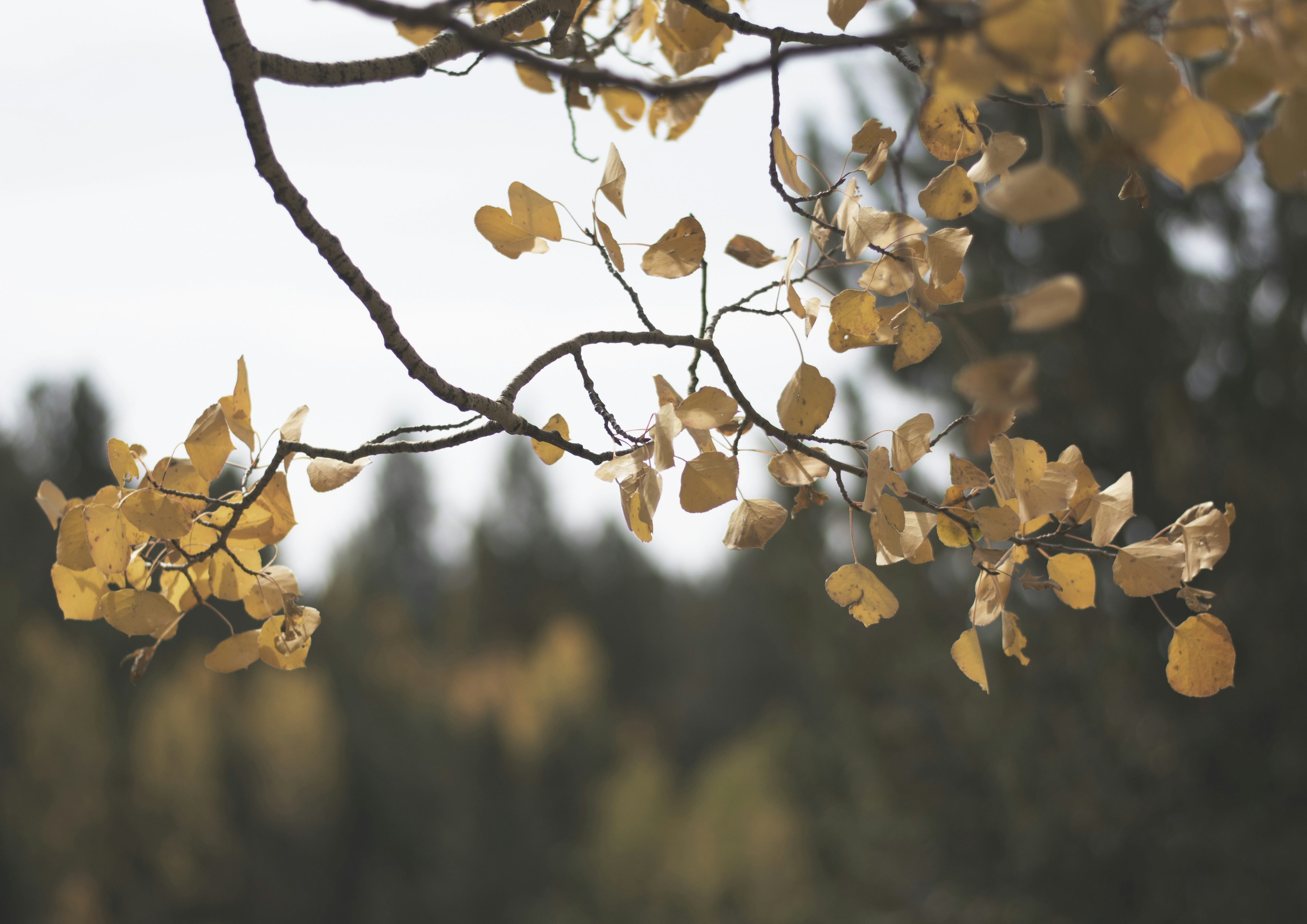 Photo by tayannphoto